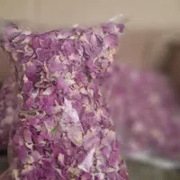 فروش گل محمدی