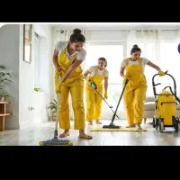 کارگر خانم برای نظافت