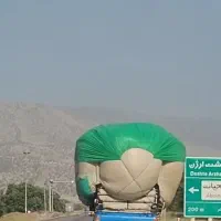 کاه گندم درجه یک