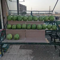 فروش پالت میوه فوری