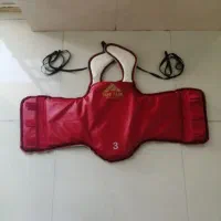 هوگو تکواندو