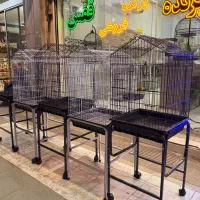 قفس فوق ضخیم کاسکو ملنگو شاه طوطی راهب