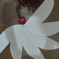 حالت گیر روسری