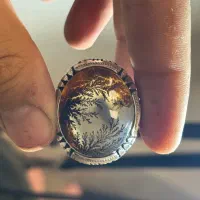 شجر قائم