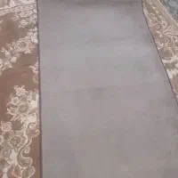 موکت|موکت|همدان, |دیوار