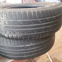 لاستیک سمندی