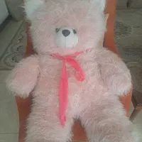 عروس خرس بزرگ