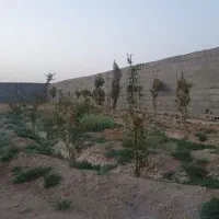 500متری|فروش زمین و ملک کلنگی|اصفهان, براآن شمالی|دیوار