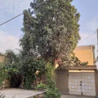 ۵۰۰ متر ویلایی.ارتفاع ۵ رو پیلوت.موقعیت عالی