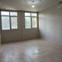 شیک ترو تمیز