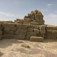 پرس یونجه