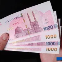 پول در بیاری از یه برنامه حرفه ای قانونی
