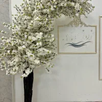 درخت شکوفه بزرگ