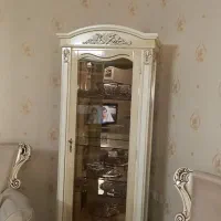 ویترین در حد نو