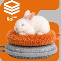 پیک موتوری یا ویزیتور با حقوق ثابت جهت پخش