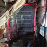 دستگاه جوجه کشی