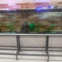 آکواریوم شیشه ای