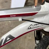 دوچرخه ویوا سالم . مدل Audi