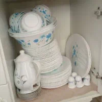 ظرف پخت وپز