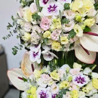 گل طبیعی