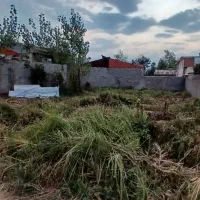 زمین290متر-مسکونی-کوچصفهان-رشت