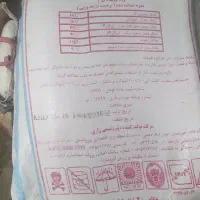 دی آمونیم فسفات راضی