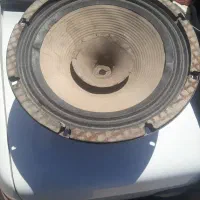 میدرنج ده اینچی