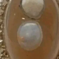انگشترهای نقره موکل دار