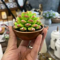 گل چینی در طرح و  رنگ و ابعاد دلخواه
