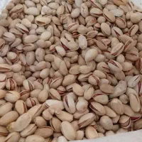 عرضه مستقیم انواع پسته و مغز پسته