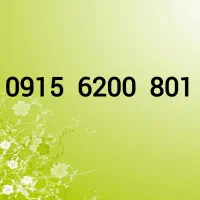 0915-6200-801