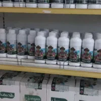 کودارگانیک