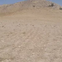 زمین کشاورزی