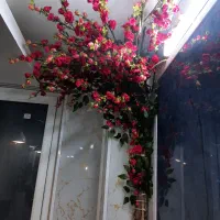 تجهیز کردن سالنها و اموزشگاهای زیبایی