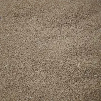 گندم درجه یک وبوجاری کیلو 50