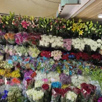گلفروشی،دسته گل،باکس گل،تاج گل،ماشین عروس