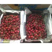 الو جنگلی وقطره طلا  وآلبالو