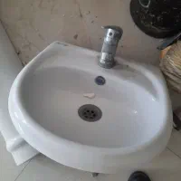 شیر با روشویی