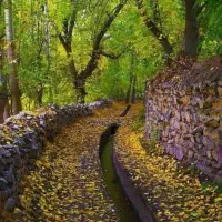 باغ۱۰۰۰متری سند ۶دانگ دور دیوار شاهنامه۳۴