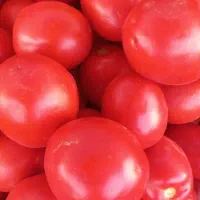 گوجه|خوردنی و آشامیدنی|تاکستان, |دیوار