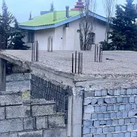 کلنگی همه مناطق موجود است