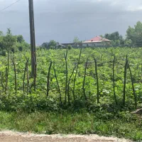 زمین-مسکونی-با-مجوز-ساخت-محصور-با-امتیازات