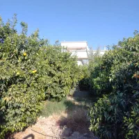 زمین-مسکونی-صدرا-فاز-2-فروش
