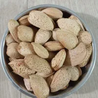 بادام سنگی تلخ