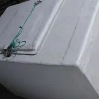 برینتانک ماهی و میگو