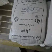 سبوس|لوازم جانبی حیوانات|مشهد, شهرک بهارستان|دیوار