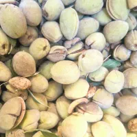 بادام پوست کاغذی تاره