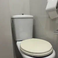 توالت فرنگی