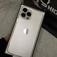 13pro max