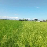 افزایش تناژ و باردهی تضمینی و اصولی